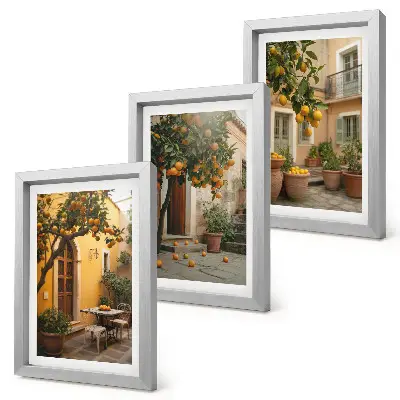 Conjunto de molduras com imagens jardim com árvores cítricas em um local ensolarado