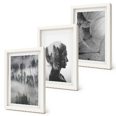 Conjunto de 3 quadros decorativos Retrato de uma floresta na neblina com delicados dentes-de-leão.