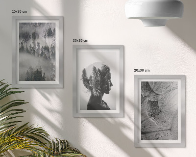 Conjunto de 3 quadros decorativos Retrato de uma floresta na neblina com delicados dentes-de-leão.