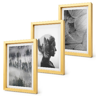 Conjunto de 3 quadros decorativos Retrato de uma floresta na neblina com delicados dentes-de-leão.