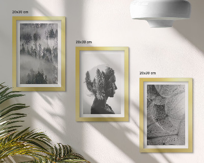 Conjunto de 3 quadros decorativos Retrato de uma floresta na neblina com delicados dentes-de-leão.