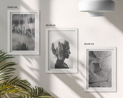 Conjunto de 3 quadros decorativos Retrato de uma floresta na neblina com delicados dentes-de-leão.