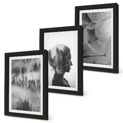 Conjunto de 3 quadros decorativos Retrato de uma floresta na neblina com delicados dentes-de-leão.