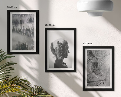Conjunto de 3 quadros decorativos Retrato de uma floresta na neblina com delicados dentes-de-leão.