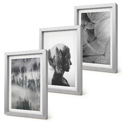 Conjunto de 3 quadros decorativos Retrato de uma floresta na neblina com delicados dentes-de-leão.