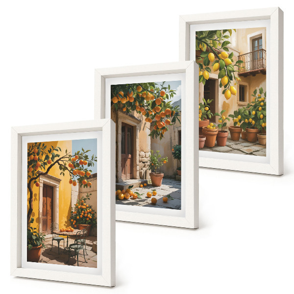 Conjunto de molduras com imagens Frutas cítricas em um pátio ensolarado com plantas.