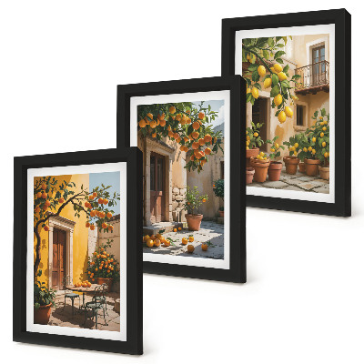 Conjunto de molduras com imagens Frutas cítricas em um pátio ensolarado com plantas.