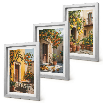 Conjunto de molduras com imagens Frutas cítricas em um pátio ensolarado com plantas.