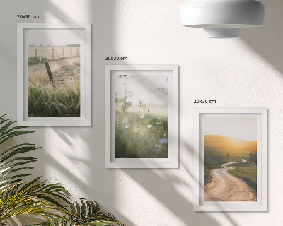 Conjunto de molduras com imagens Paisagem com um prado, estrada e pôr do sol