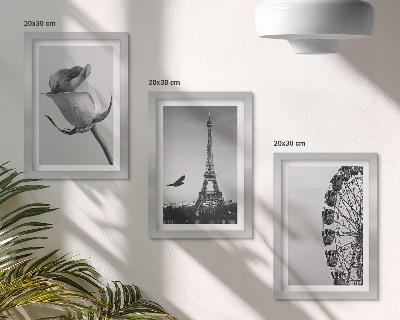 Tríptico com moldura Torre Eiffel e roda-gigante em tons de rosa, em monocromático.
