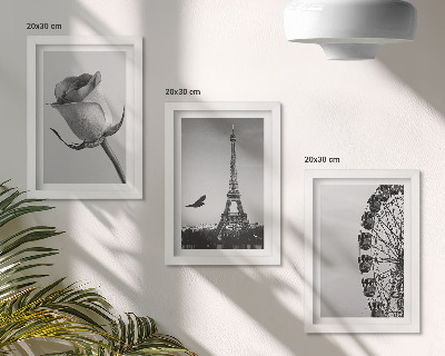 Tríptico com moldura Torre Eiffel e roda-gigante em tons de rosa, em monocromático.
