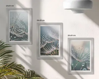 Conjunto de quadros com imagens gotas de água nos delicados brotos de dente-de-leão