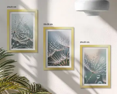 Conjunto de quadros com imagens gotas de água nos delicados brotos de dente-de-leão