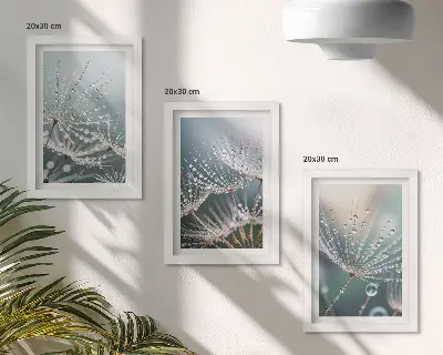 Conjunto de quadros com imagens gotas de água nos delicados brotos de dente-de-leão