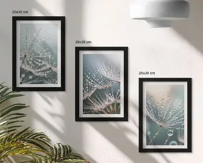 Conjunto de quadros com imagens gotas de água nos delicados brotos de dente-de-leão