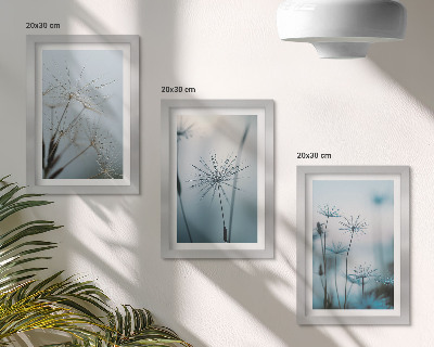 Conjunto de 3 quadros decorativos Dentes-de-leão delicados com gotas de água