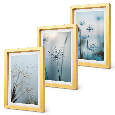 Conjunto de 3 quadros decorativos Dentes-de-leão delicados com gotas de água
