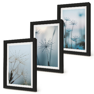 Conjunto de 3 quadros decorativos Dentes-de-leão delicados com gotas de água