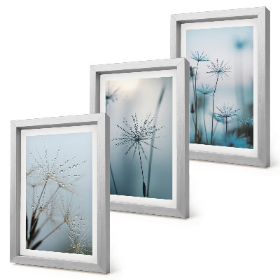 Conjunto de 3 quadros decorativos Dentes-de-leão delicados com gotas de água