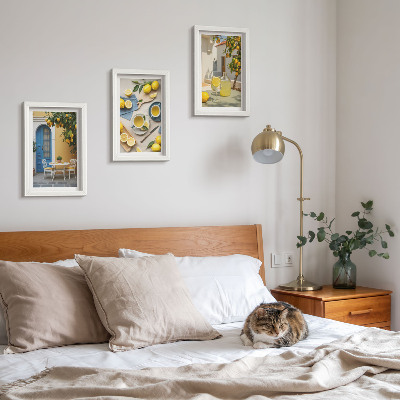 Conjunto de molduras com imagens Limões, limonada, portas azuis, vistas de verão