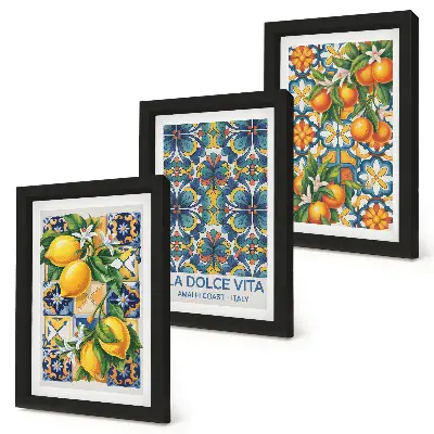 Conjunto de quadros decorativos com estampas de flores de limoeiro e laranjeira