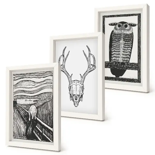 Conjunto de molduras com imagens inspirado no filme Pânico com ilustração de caveira e coruja em estilo gráfico