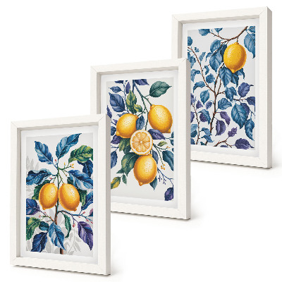 Conjunto de 3 quadros decorativos Limões em galhos com folhas azuis