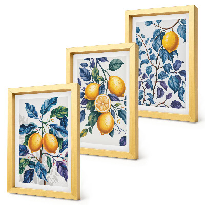 Conjunto de 3 quadros decorativos Limões em galhos com folhas azuis