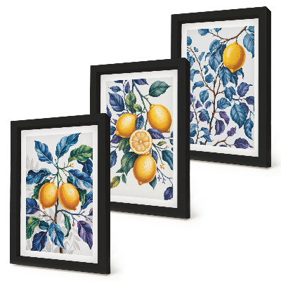 Conjunto de 3 quadros decorativos Limões em galhos com folhas azuis