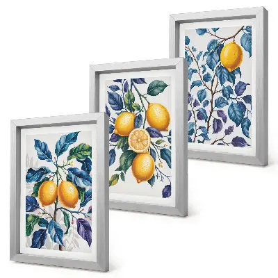 Conjunto de 3 quadros decorativos com estampa de limões em galhos com folhas azuis