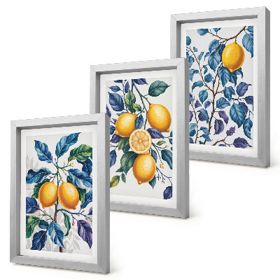 Conjunto de 3 quadros decorativos Limões em galhos com folhas azuis