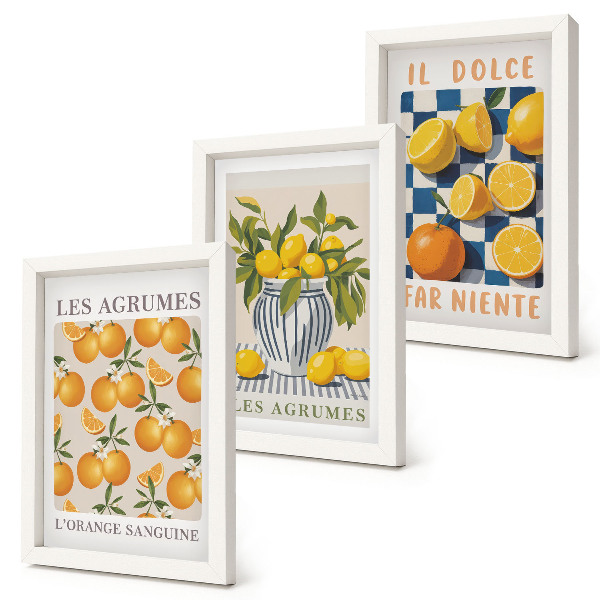 Conjunto de molduras com imagens Frutas cítricas retrô com detalhes em amarelo.