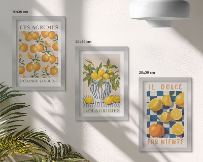 Conjunto de molduras com imagens Frutas cítricas retrô com detalhes em amarelo.
