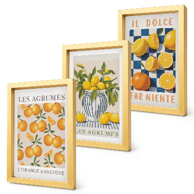 Conjunto de molduras com imagens Frutas cítricas retrô com detalhes em amarelo.