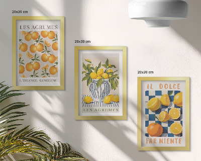 Conjunto de molduras com imagens Frutas cítricas retrô com detalhes em amarelo.