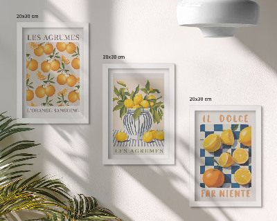 Conjunto de molduras com imagens Frutas cítricas retrô com detalhes em amarelo.