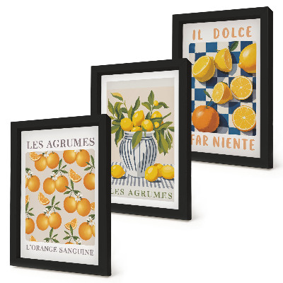 Conjunto de molduras com imagens Frutas cítricas retrô com detalhes em amarelo.