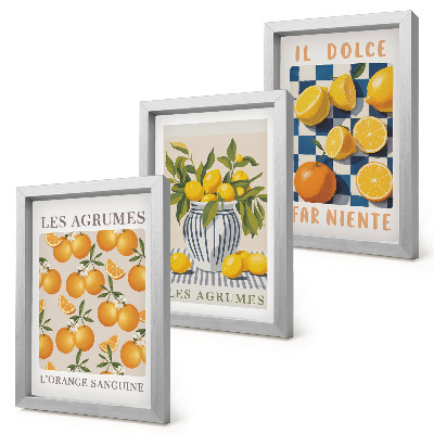 Conjunto de molduras com imagens Frutas cítricas retrô com detalhes em amarelo.