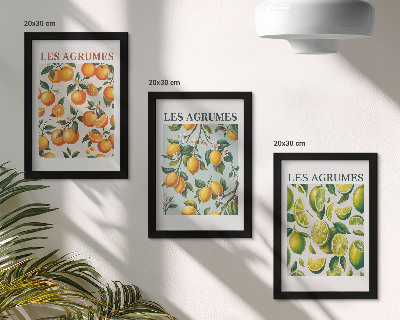 Tríptico com moldura Estampas cítricas frutadas em tons pastel