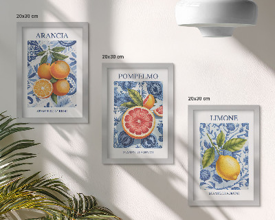 Conjunto de molduras com imagens Ilustrações vintage de frutas cítricas