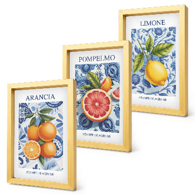 Conjunto de molduras com imagens Ilustrações vintage de frutas cítricas