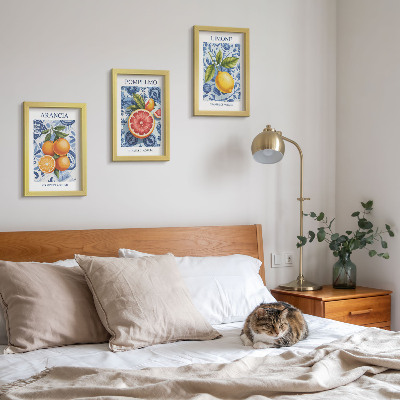 Conjunto de molduras com imagens Ilustrações vintage de frutas cítricas