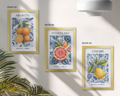 Conjunto de molduras com imagens Ilustrações vintage de frutas cítricas