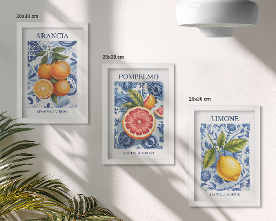 Conjunto de molduras com imagens Ilustrações vintage de frutas cítricas