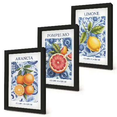 Conjunto de quadros com ilustrações estampas vintage de frutas cítricas