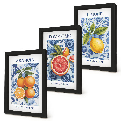 Conjunto de molduras com imagens Ilustrações vintage de frutas cítricas