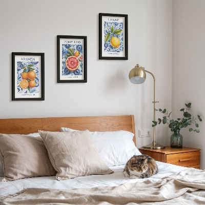 Conjunto de molduras com imagens Ilustrações vintage de frutas cítricas