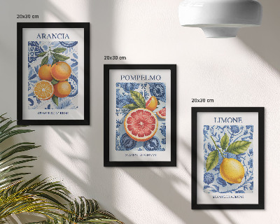 Conjunto de molduras com imagens Ilustrações vintage de frutas cítricas