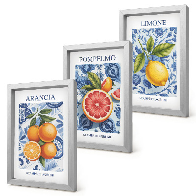 Conjunto de molduras com imagens Ilustrações vintage de frutas cítricas