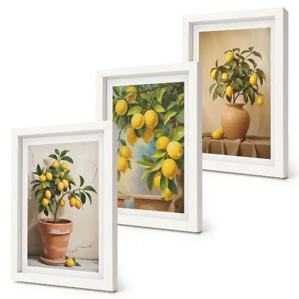 Conjunto de 3 quadros decorativos com estampas de limoeiros em vasos e floreiras